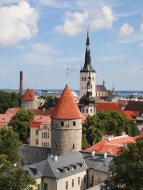 Tallinn hava panorama manzara yaz