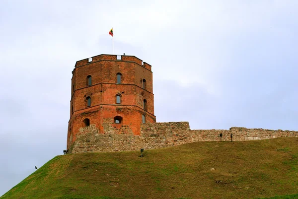 Şafak, sembol Vilnius kulesi. Yaz — Stok fotoğraf