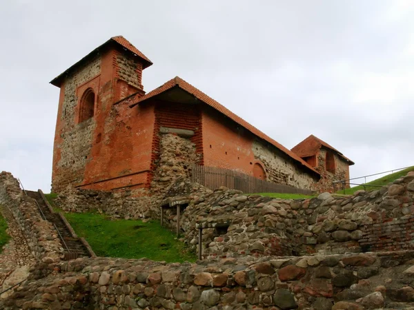 Castelo de Vilnius, símbolo de Vilnius. Verão — Fotografia de Stock