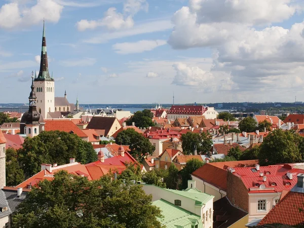 Panorama aérien estival panoramique de Tallinn — Photo