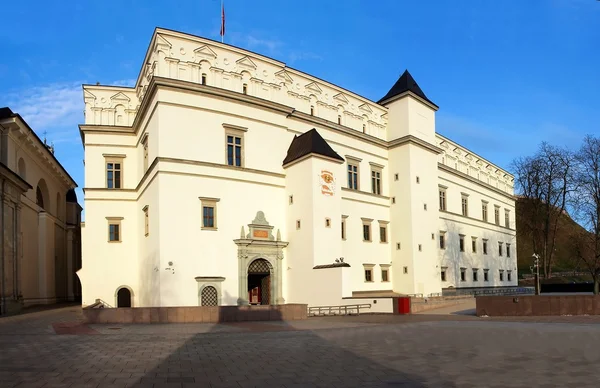 Palace of the Grand Dukes of Lithuania — Stock Photo, Image