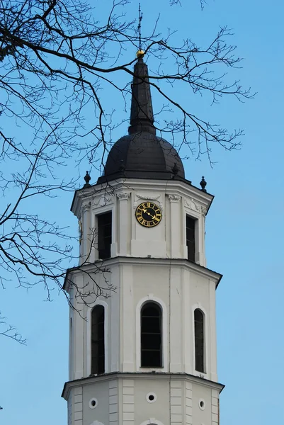 Menara lonceng Katedral Vilnius dan langit biru — Stok Foto