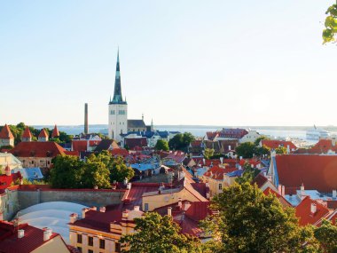 anciant eski şehir görünümüne ve st olaf's Kilisesi, tallinn Kulesi
