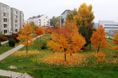 vilnius şehirde sonbahar