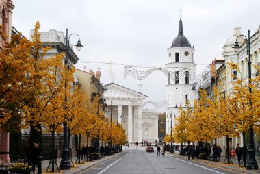 Vilnius Gediminas Avenue'de sonbahar