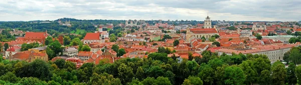 Vedere la orașul vechi Vilnius verde pe timp de vară — Fotografie, imagine de stoc