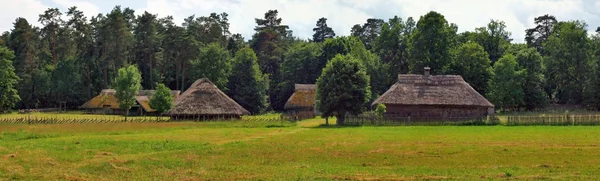 Típica casa de madera etnográfica en Rumsiskes, distrito de Kaunas en Lituania —  Fotos de Stock