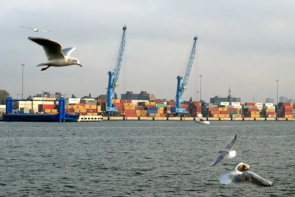 Recipientes no porto de Klaipeda. Lituânia — Fotografia de Stock