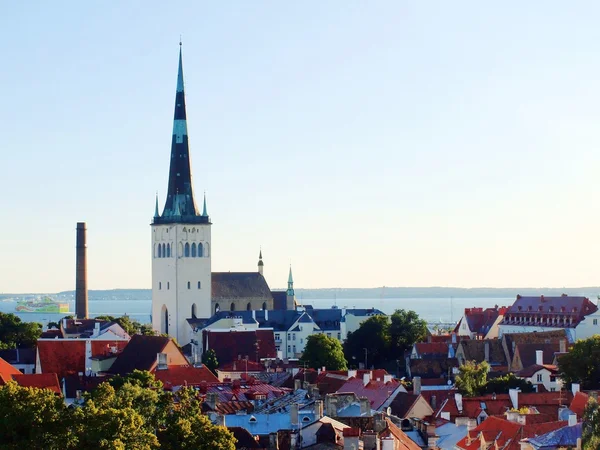 Visa att fornlämningar gamla stan och tower of st Olavs kyrka, tallinn — Stockfoto