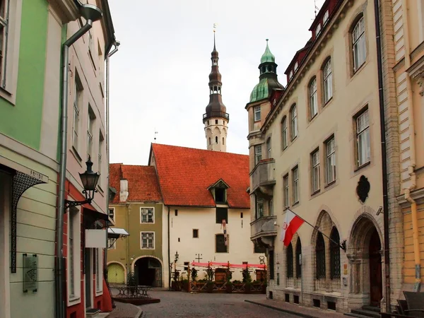 Città vecchia, Tallinn, Estonia. Una palude meteo Vecchio Thomas sulla torre del municipio — Foto Stock