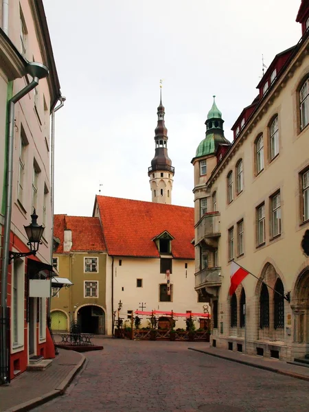 古い都市、タリン、エストニア。天候ベーン、市庁舎塔の古いトマス — ストック写真