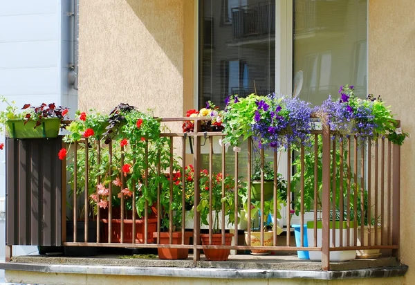 Flowers in the balcony — Stock Photo, Image