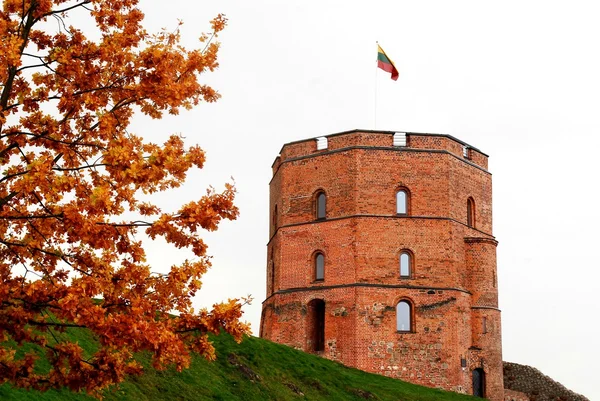 Castelo de Gediminas em Vilnius. Lituânia . — Fotografia de Stock