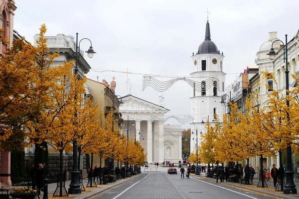 Avenida Gediminas em Vilnius no outono Fotos De Bancos De Imagens