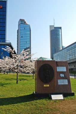 Sakura çiçekleri açıyor. Güzel pembe kiraz çiçeği