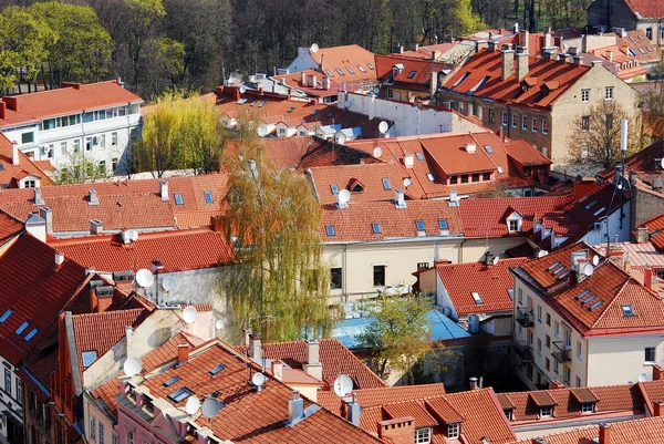 Vue du vieux Vilnius depuis la tour de l'église — Photo