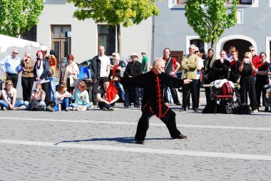Tai chi ve qi gong günü vilnius City