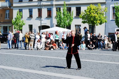 Tai chi ve qi gong günü vilnius City