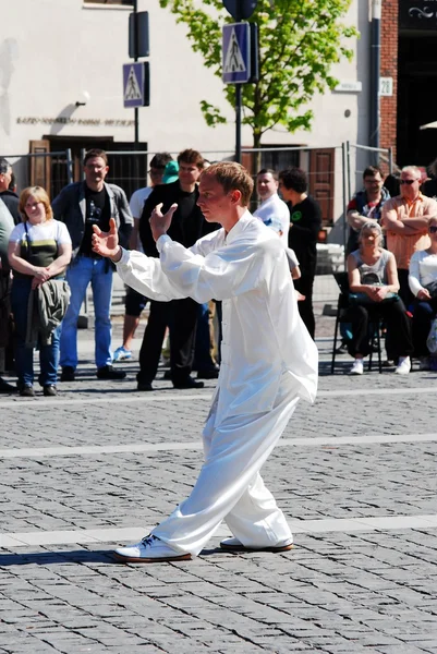 Tai Chi e Qi Gong dia na cidade de Vilnius — Fotografia de Stock