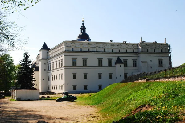 A litván nagyhercegek palotája — Stock Fotó