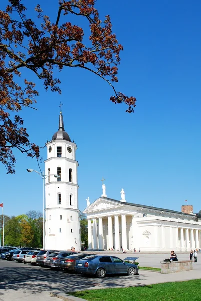 Il luogo della Cattedrale nella città di Vilnius il 26 aprile 2014 — Foto Stock