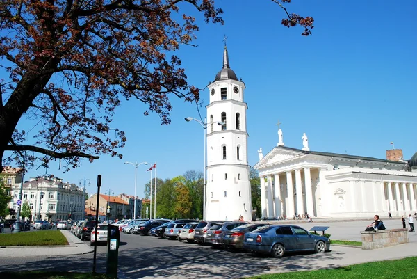 26 Nisan 2014 vilnius şehrinin katedral yerde