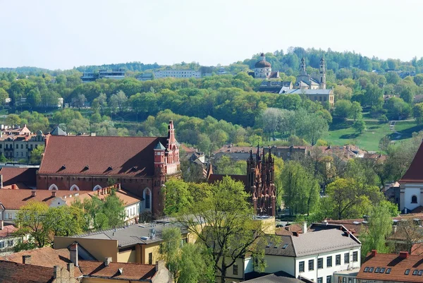 Uitzicht op de stad Vilnius gediminas kasteel. — Stockfoto