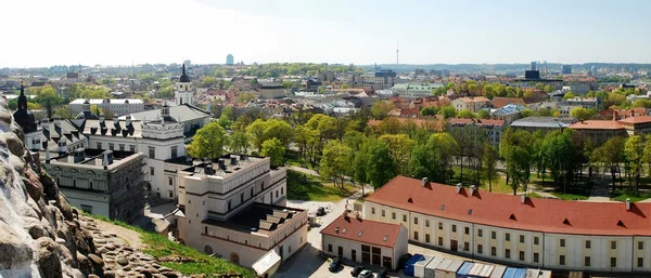 Uitzicht op de stad Vilnius gediminas kasteel. — Stockfoto