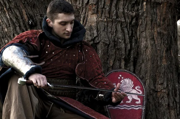 Şövalye kılıcı tutan