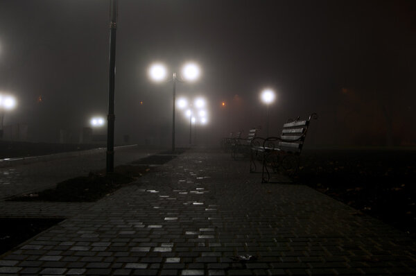 ночной парк в тумане
