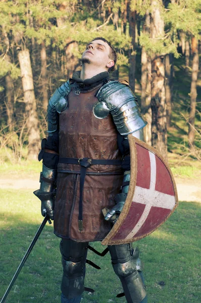 Knight holding sword in a forest — Stock Photo, Image