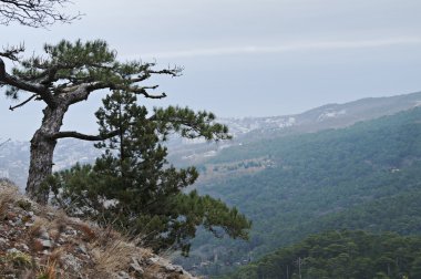 Kırım'ın doğal dağ manzarası