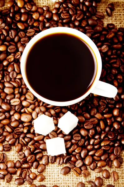 Cup of coffee with refined sugar and coffee beans. — Stock Photo, Image