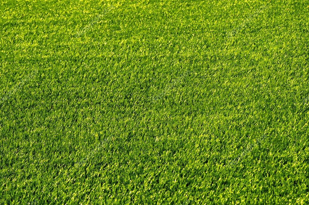 football ground grass