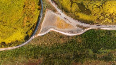 Ukrayna 'da Karadeniz. Kinburn Spit. Vahşi doğa, Kinburn manzarası - Ukrayna Maldivleri.