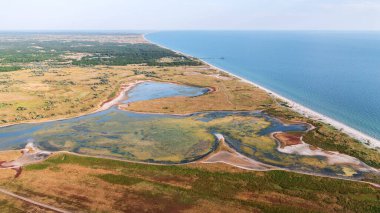 Ukrayna 'da Karadeniz. Kinburn Spit. Vahşi doğa, Kinburn manzarası - Ukrayna Maldivleri.