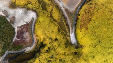 Ukrayna 'da Karadeniz. Kinburn Spit. Vahşi doğa, Kinburn manzarası - Ukrayna Maldivleri.