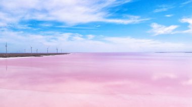 Pembe su. Yüksek tuz seviyelerinde yetişen yosunlar. Ukrayna 'nın Kherson bölgesinde Pembe Göl.