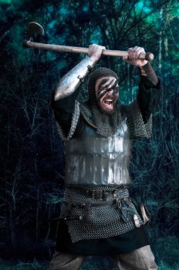 Viking onun balta vahşi doğa arka plan üzerinde ortaya çıkar.