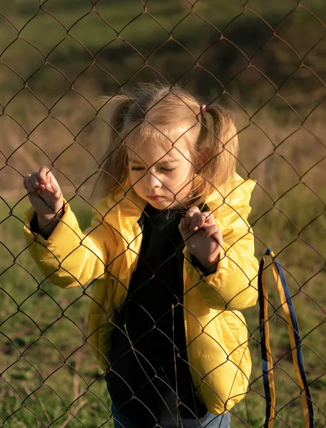 Ukrayna bayrağı gibi sarı ve mavi kurdeleli güzel bir Ukraynalı kızın portresi. Ukrayna 'yı kurtarmak için yardım istiyor. Savaşı durdurun..
