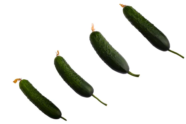 Zole Edilmiş Beyaz Arka Planda Salatalıklar Olgun Taze Yeşil Salatalıklar — Stok fotoğraf