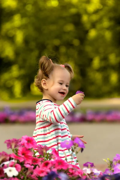 Cute Little Girl Flower Her Hand Summer Green Park Park — Stockfoto