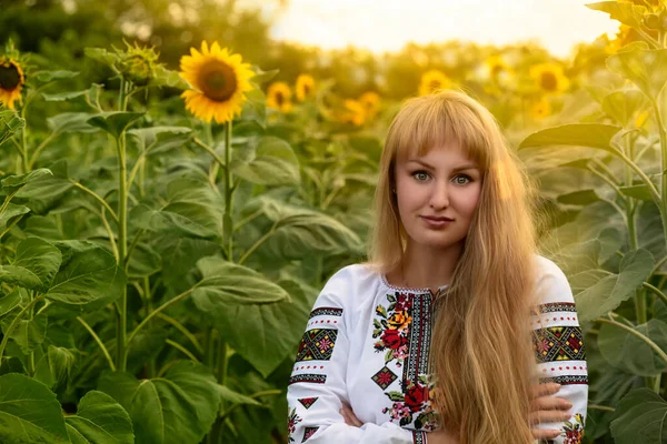 迷人的女孩 留着一头乌克兰语Vyshyvanka长发 躺在田野里的向日葵中间 — 图库照片