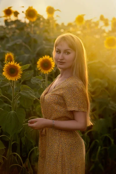 Приваблива Дівчина Довгим Волоссям Жовтій Сукні Позує Серед Соняшників Полі — стокове фото