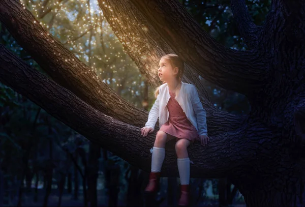一个长着辫子的可爱小女孩坐在一棵大树上 夜魔萤火虫 — 图库照片