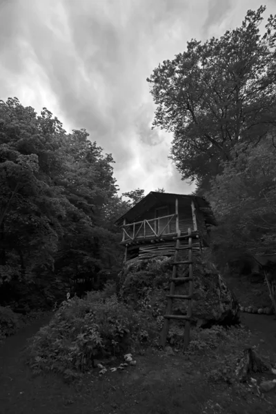 Black White Image Wooden House Forest — Stock Photo, Image