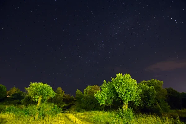 Оливковий Гай вночі і Чумацький шлях у небі, Греція — стокове фото