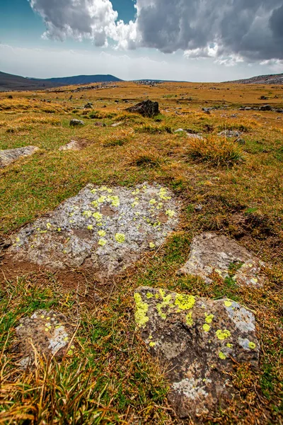 Wide Angle Vertical Landscape Rocks Covered Yellow Lichen Foot Mount — Stock Photo, Image