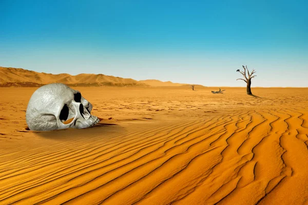 Абстрактная Сюрреалистическая Сцена Белым Человеческим Черепом Оранжевом Сухом Песке Пустыне — стоковое фото