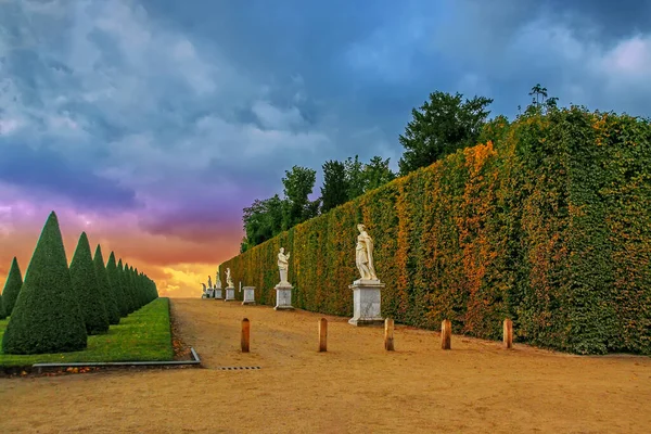 Linha Árvores Esculpidas Esculturas Longo Caminho Versalhes Jardins Paris França — Fotografia de Stock